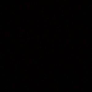 Meet your Posher, Daren